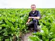 Boer Pieter staat niet te juichen aan begin van oogstseizoen, ondanks natte zomer: ‘Er komt geen stormloop’