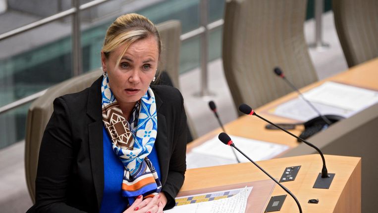 Vlaams minister van Wonen Liesbeth Homans. Beeld photo_news