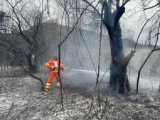 Les pompiers italiens combattent plus de 200 feux de forêt au sud du pays