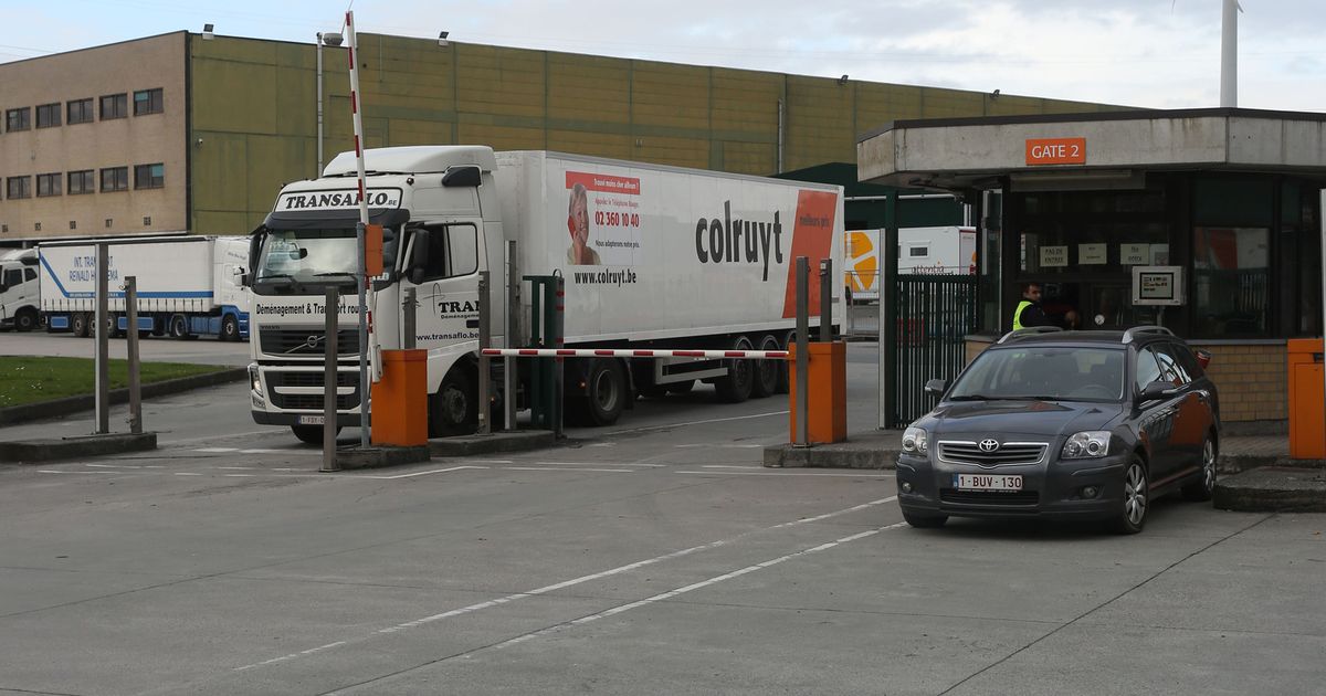 Colruyt Vindt Illegalen Tussen Lading Mandarijnen Halle In De