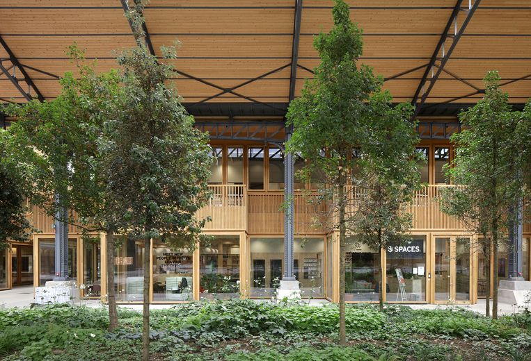 Ingericht met planten en bomen is hier een ‘overdekte Ramblas’ gecreëerd. Beeld Filip Dujardin, © Neutelings Riedijk Architects