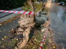 La tempête Aurore souffle sur la Belgique: le point dans votre région