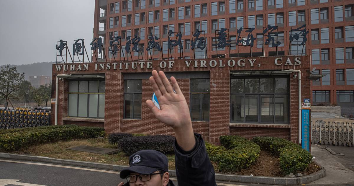 The United States suspends funding for the virus laboratory in Wuhan  outside