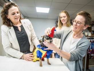 Hotdog is binnen, de leut kan beginnen