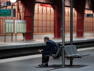 NMBS-reizigers klagen over “sardientjestreinen”: ingekorte treinen steeds vaker een probleem
