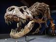 Primeur in Europa: skelet T. Rex onder de hamer bij Zwitsers veilinghuis