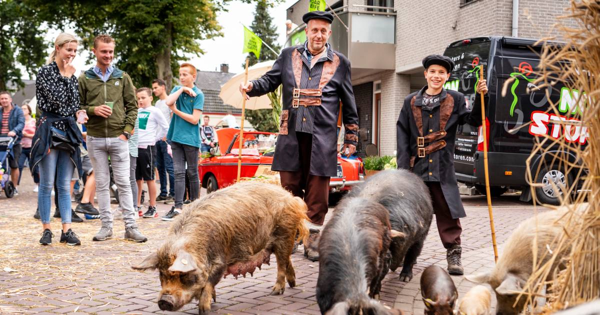 Dierenverhuurder Bert Roelofs moet de beurs trekken, vindt de rechter - De Gelderlander