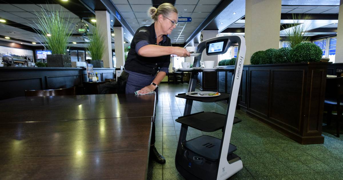 Revolutionaire robot serveert en zingt bij Frans op den Bult in Deurningen - Tubantia