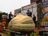 Amerikaan breekt record met pompoen van 1161 kilo
