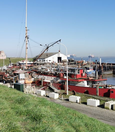 Hulst onderhandelt over overname van haven Walsoorden
