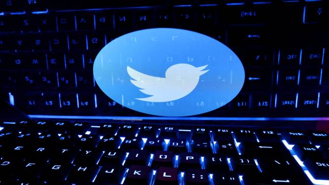 Delen van broncode van Twitter gelekt op internet
