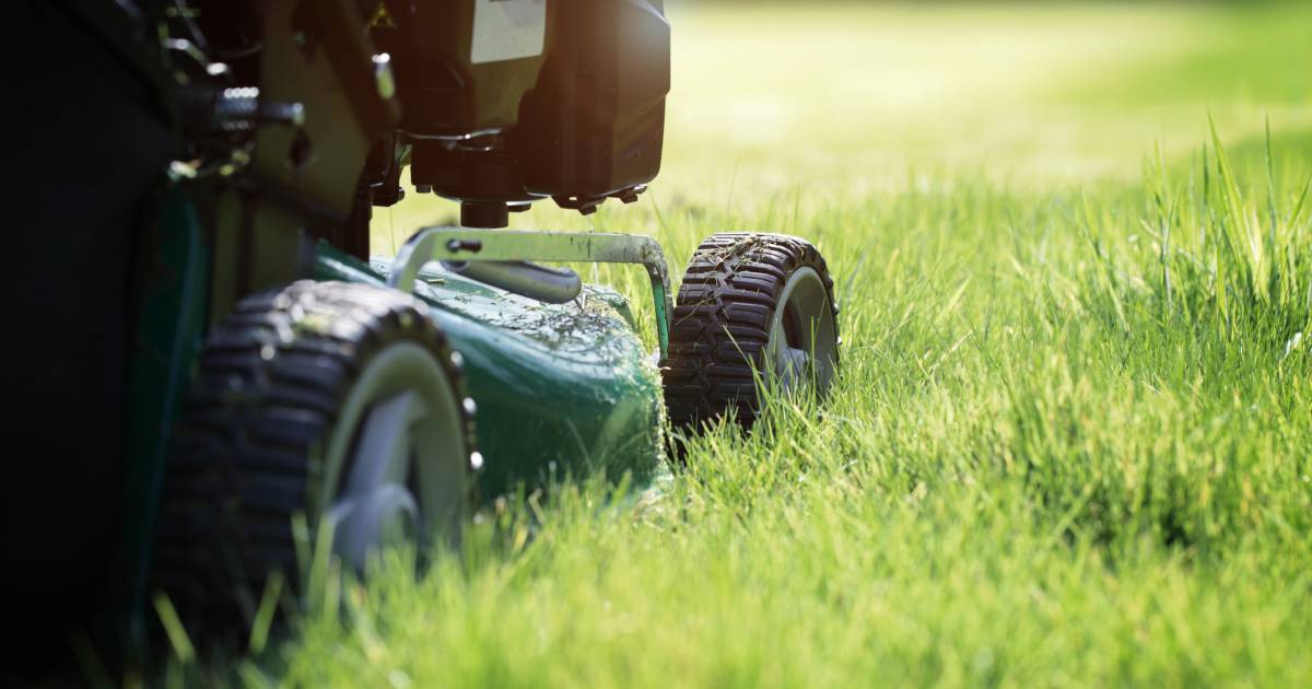Dure grasmaaier ging binnen 2 jaar stuk: 'Essentiële onderdelen worden van gemaakt' | Geld | AD.nl