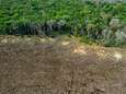Les députés brésiliens approuvent une loi qui pourrait favoriser la déforestation