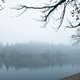 De mist rond missen