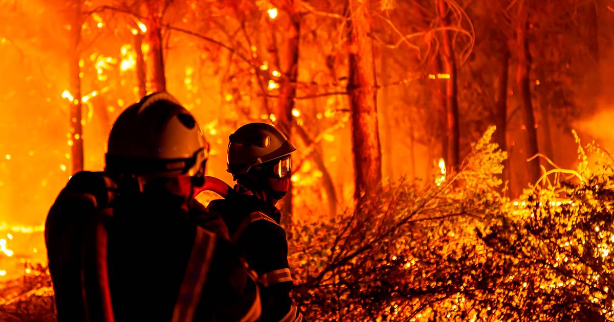 Francia arresta 26 piromani dopo gli incendi boschivi |  All’estero