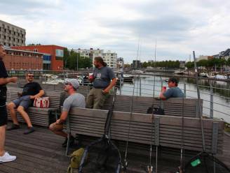Gent decor voor leuke wedstrijd ‘Streetfishing’: “Heel veel vis op onze wateren, maar niet om op te eten”