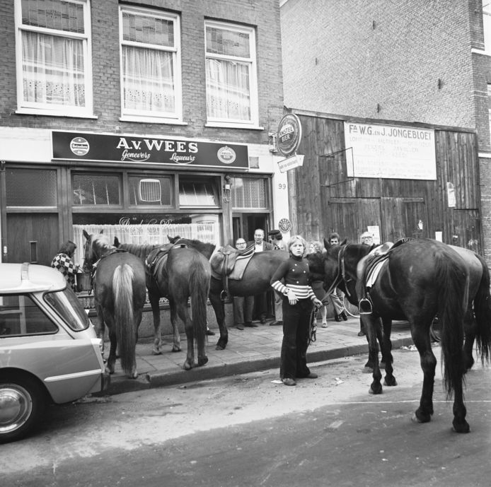 Paarden werden gevoerd voor een café in Amsterdam tijdens autoloze zondag in 1973.