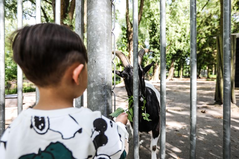 De kinderboerderij.
 Beeld Eva Plevier