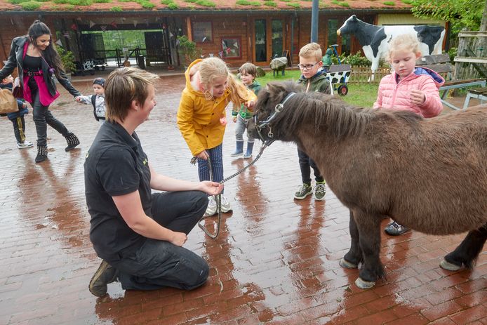Medewerkster Saskia vermaakt kinderen met pony Willem.