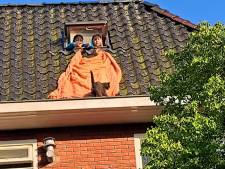 Kat die vastzat op dak van woning in Groningen na tien dagen gered