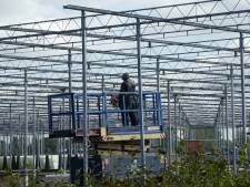 Kassen Van de Ven in Selissen in Boxtel krijgen nieuw leven in buitenland