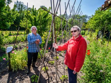 20.000 euro boete dreigt voor Bruno (74) en Marianne (73): hun volkstuintje is een puinhoop