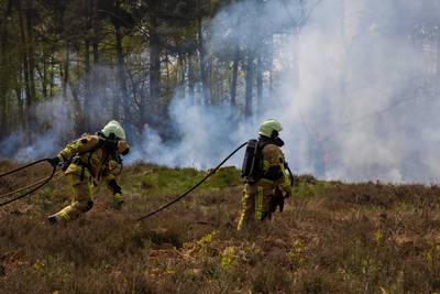 Droogte houdt aan: extra alert in natuurgebieden