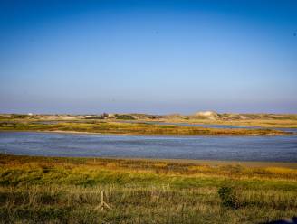 Wordt Zwinstreek erkend als Vlaams Landschapspark? “Eén van de mooiste regio’s van Vlaanderen”
