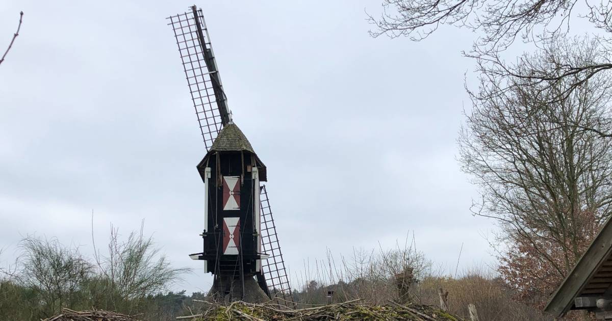 Molen Leenderstrijp gekortwiekt; reparatie eind van het jaar klaar