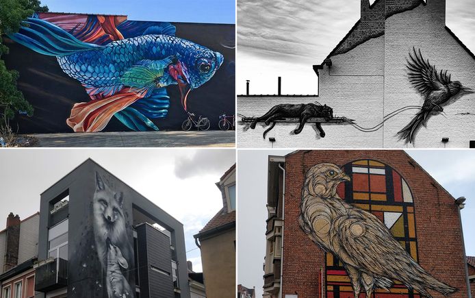 Street Art Antwerp heeft de mooiste Belgische streetart van het jaar verkozen.