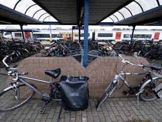 “Dringend grotere fietsenstalling nodig aan treinstation”