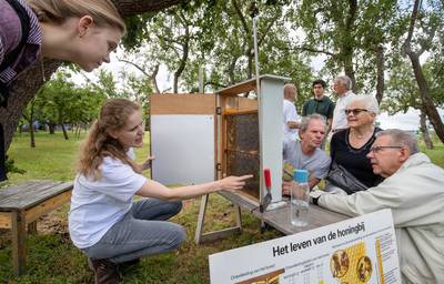Bijenhouden steeds populairder bij jongeren