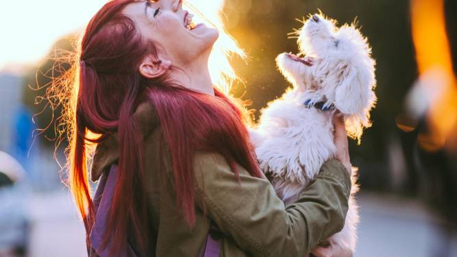 Zo baasje, zo hond? Hoe je viervoeter jouw gedrag kopieert