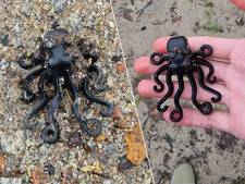 13-jarige jongen vindt ‘heilige graal’ onder strandjutters: zeldzame Lego-octopus