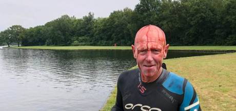 Agressieve knobbelzwaan gevangen en uitgezet: ‘Dit nam extreme vormen aan’