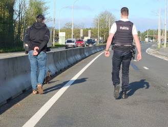 Als moeder eend en haar kroost in Roeselare willen oversteken, sluit de politie gewoon even de Rijksweg af