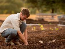 Groene vingers? Hier haal je gratis compost af in Veenendaal