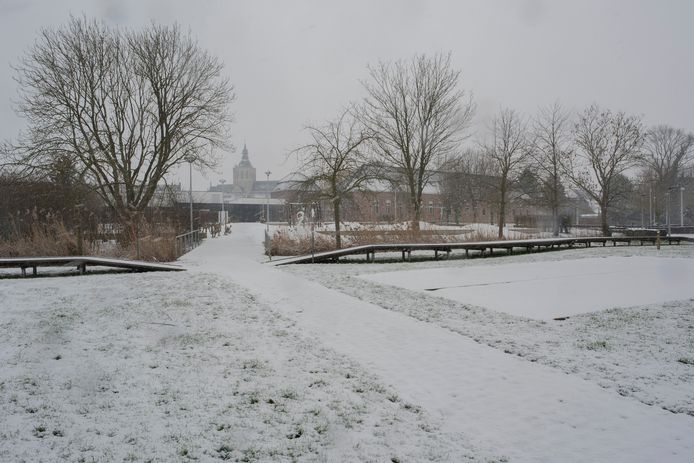Sneeuwtapijt in het West-Vlaamse Poperinge.