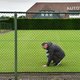 Ook zonder tennis worden grasbanen gemaaid