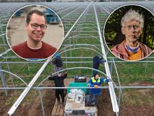 Aardbeiengigant uit Bemmel mag kassen met gas verwarmen, maar krijgt met Vollenbroek te maken