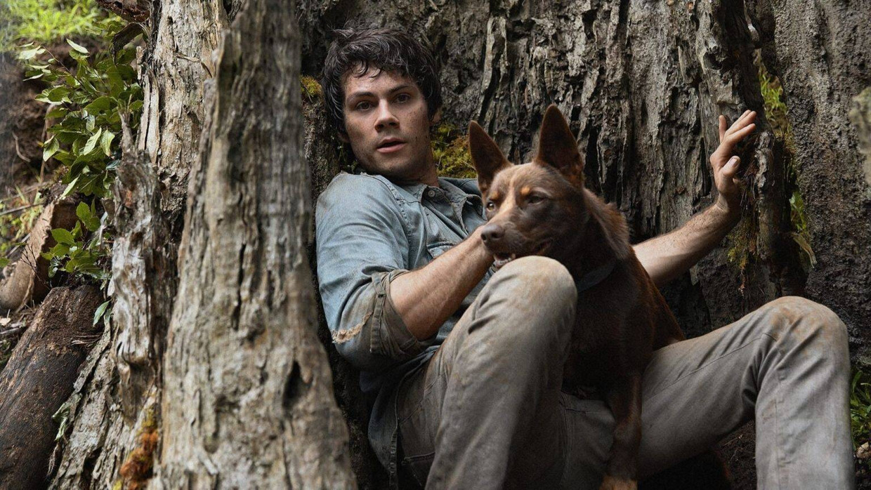 'LOVE AND MONSTERS' Beeld Netflix