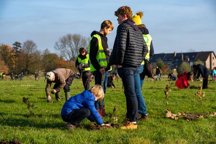 Op de grens van Kontich en Edegem, in de Edegemse beekvallei, werden maar liefst 15 000 boompjes en struiken aangeplant voor een nieuw klimaatbos van 6 ha.
