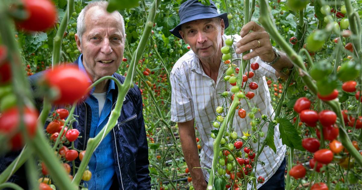 Van Erf tot Erf; ook in Spoordonk boer en burger dichter bij elkaar