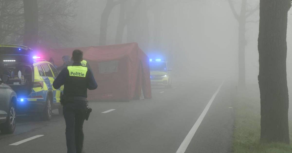 Man overlijdt bij ongeval met speedpedelec.