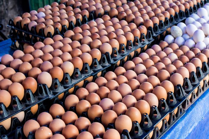monteren risico Elementair De prijs van eieren blijft stijgen: opnieuw recordprijs | Instagram VTM  NIEUWS | hln.be