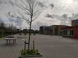 Op het schoolplein van de brede school in Yerseke is weinig groen te vinden.