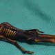 ‘Buitenaardse’ mummie blijkt mismaakt meisje