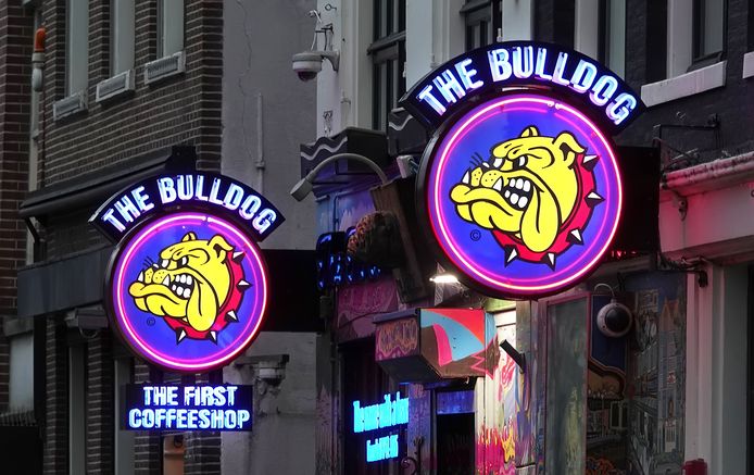 Coffeeshop Bulldog in Amsterdam.
