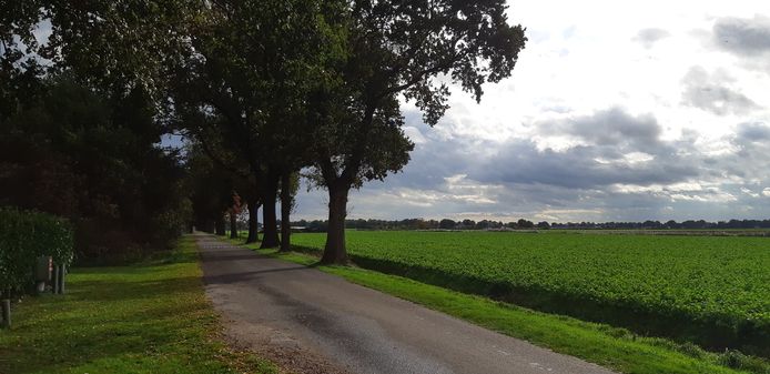 De Schuineweg.