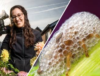 Privéschuimparty, hoe het spuugbeestje overleeft in bubbels in Twente